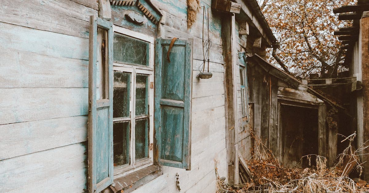 Cover Image for Homesteading Trends: What New Off-Grid Families Need