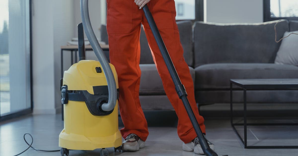 Cover Image for House Cleaning Services: Trends, Costs, and What’s New