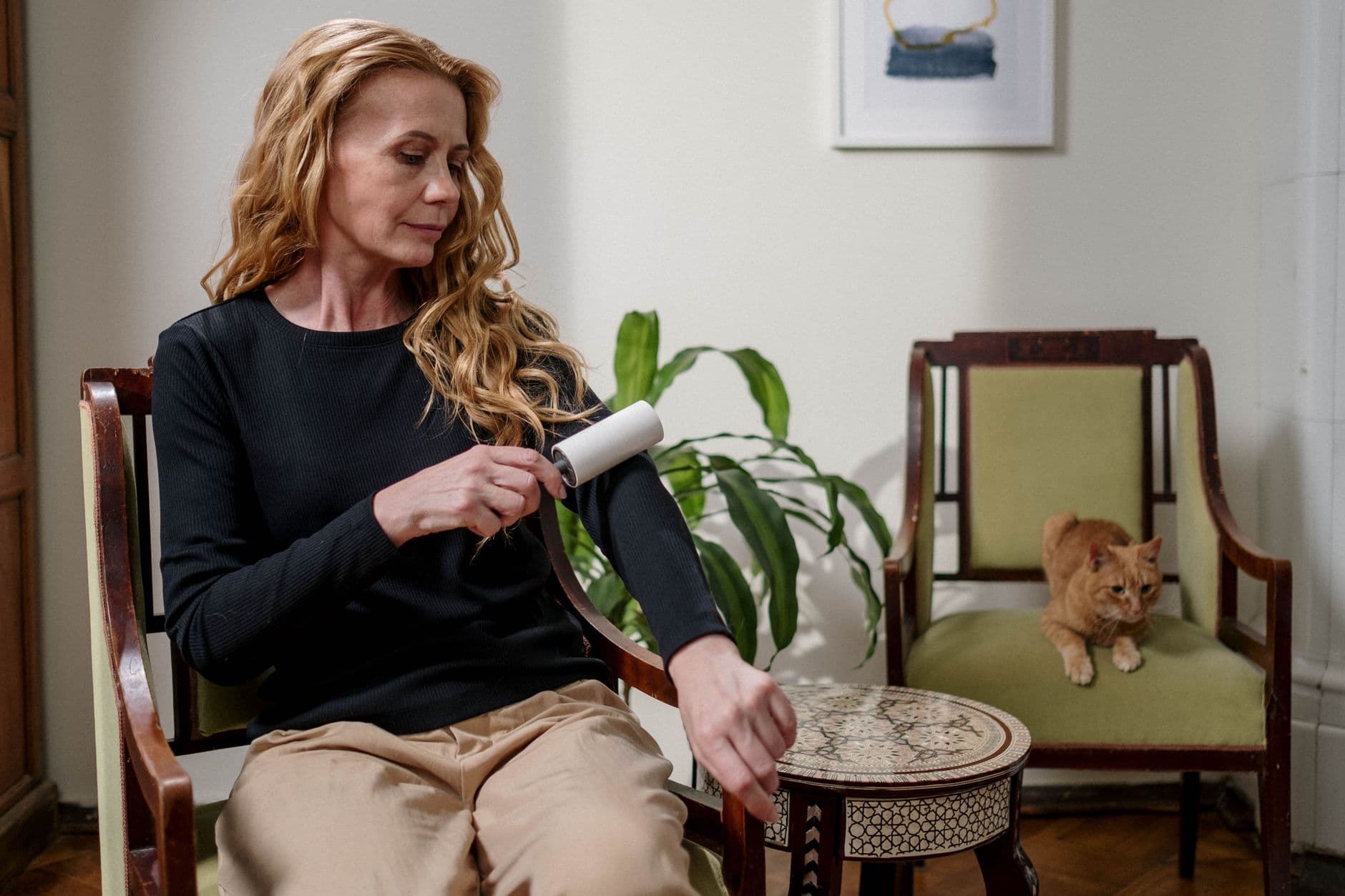 Cover image for How to Remove Pet Hair from Carpets and Upholstery