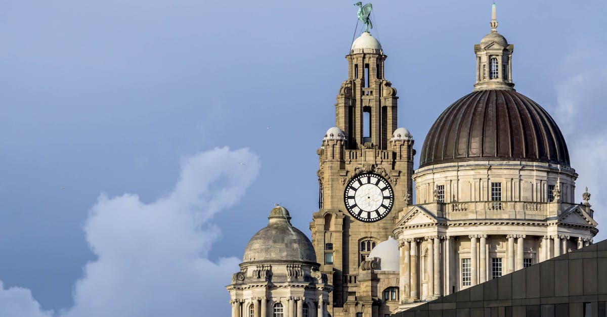 Cover Image for Liver Cirrhosis: Key Signs, Trends, and What to Know