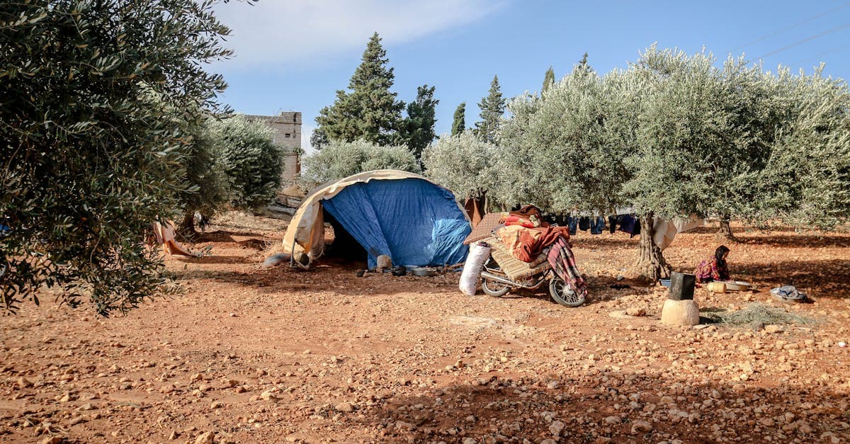 Cover Image for Mesothelioma Settlement Trends: What Victims Should Know