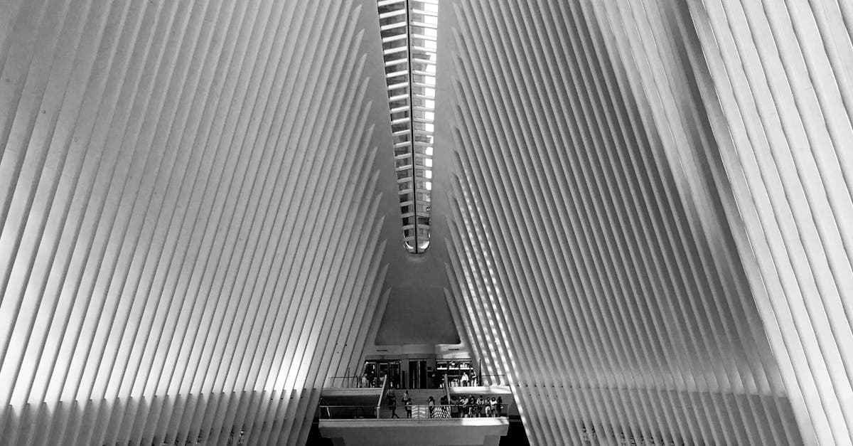 Cover Image for Discover Your Passion at New World School of the Arts: A Hub for Future Artists