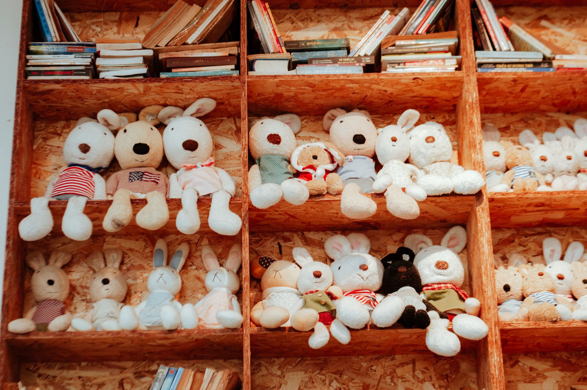 Cozy shelves filled with an adorable array of stuffed animals and books, perfect for a playful room decor.